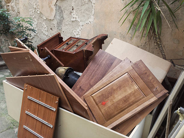 Best Yard Waste Removal  in Taylor, MI